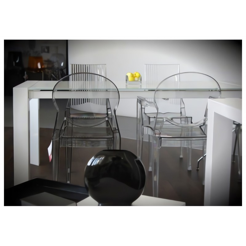 Hoker Zebra Bicolore h 80...